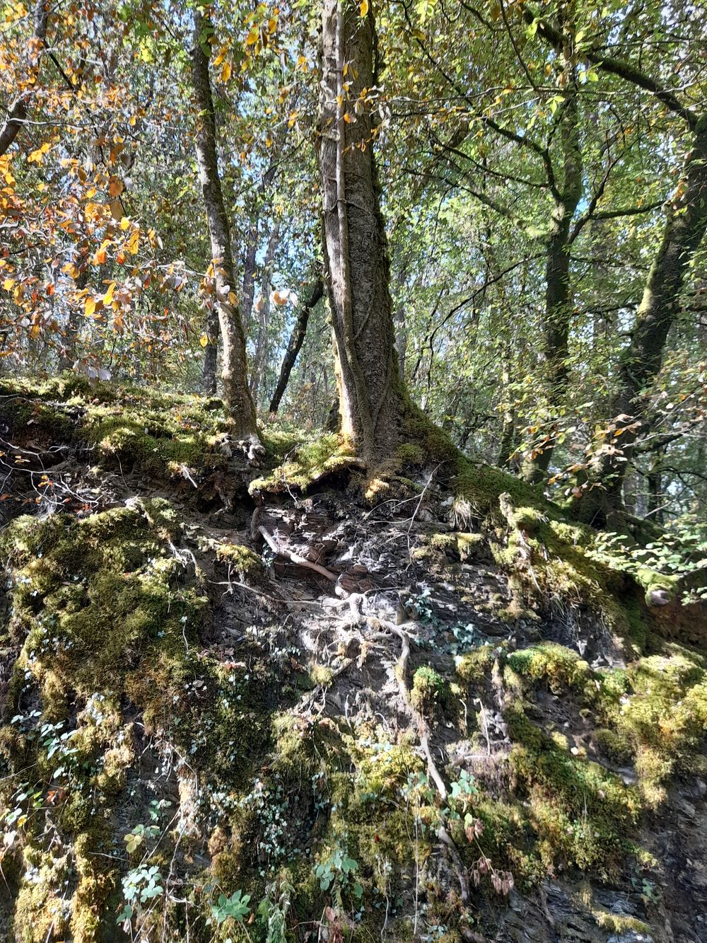 image 127