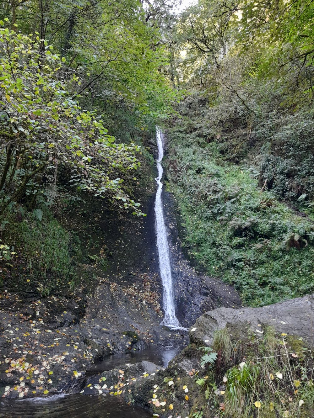 image 128
