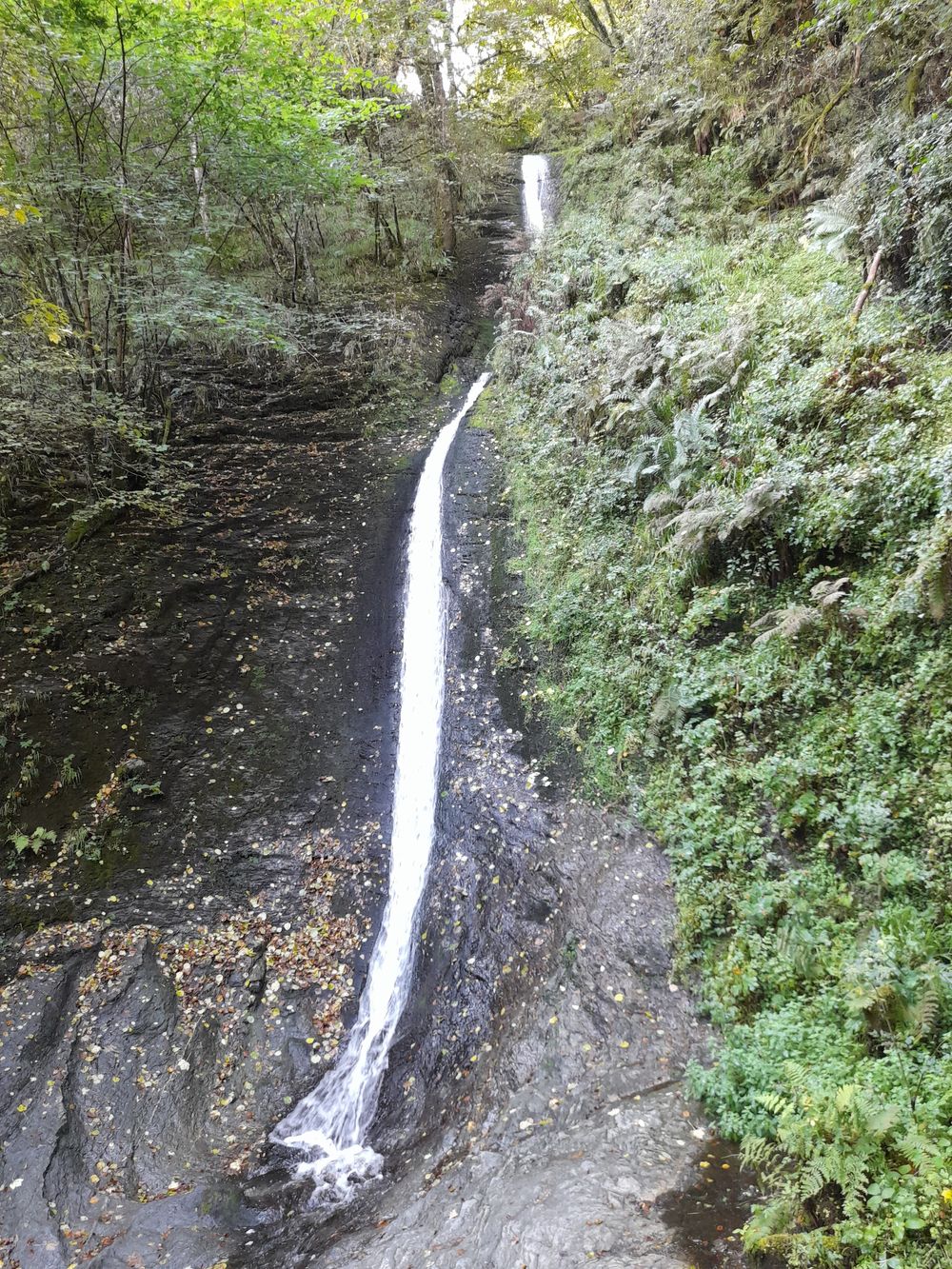 image 130