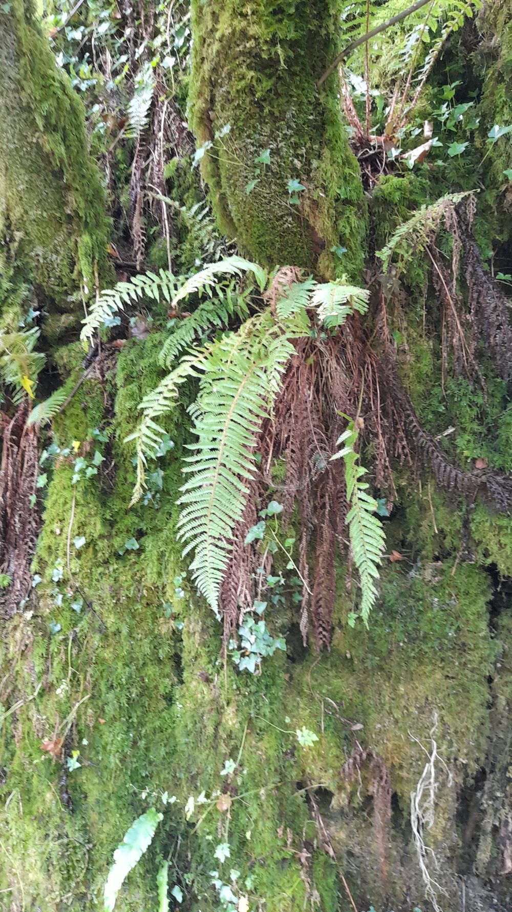 image 133