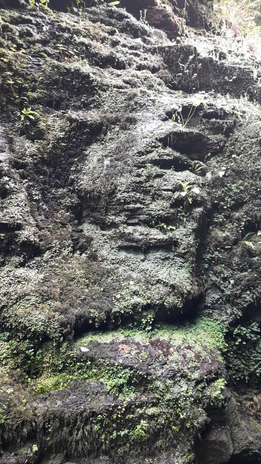 image 134