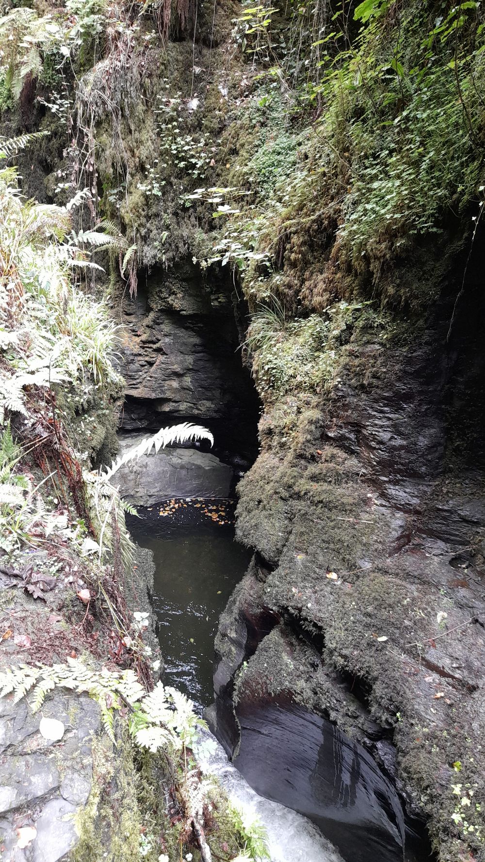 image 135