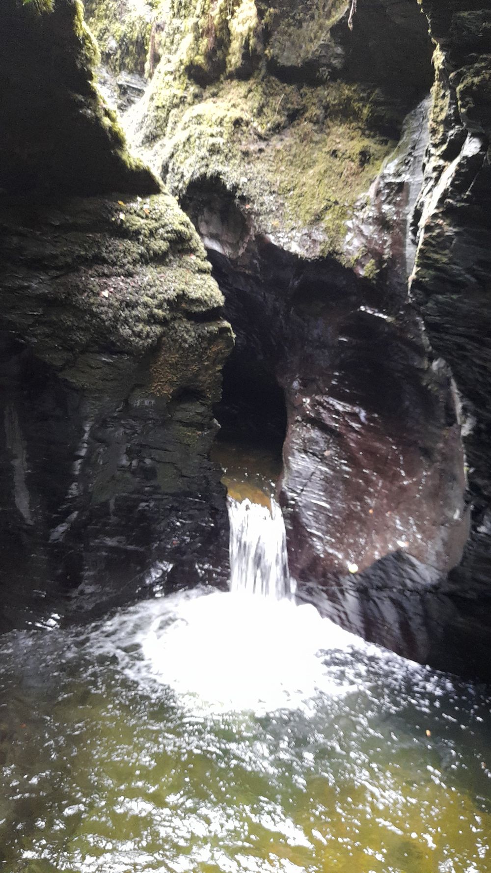 image 137