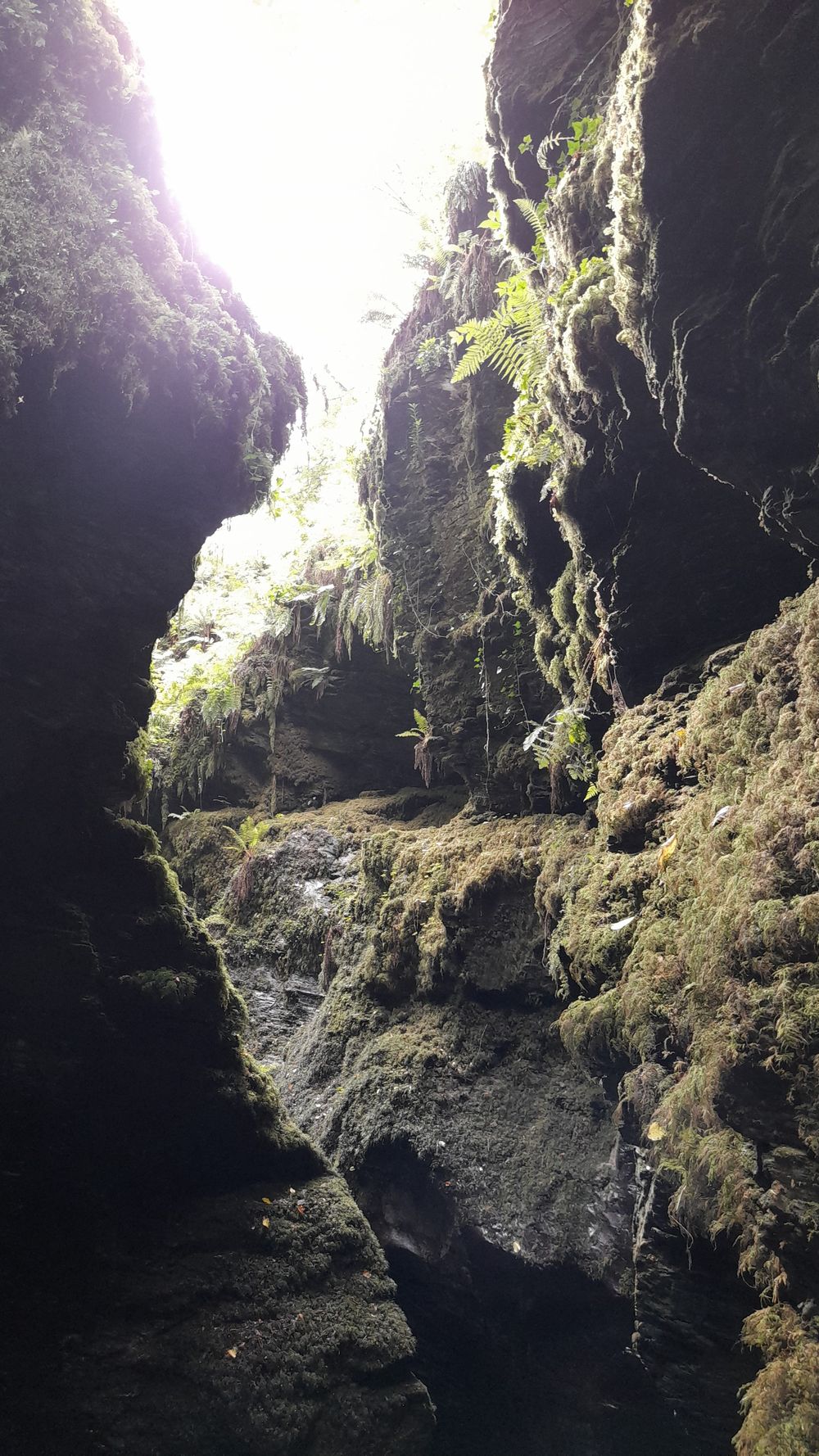 image 138