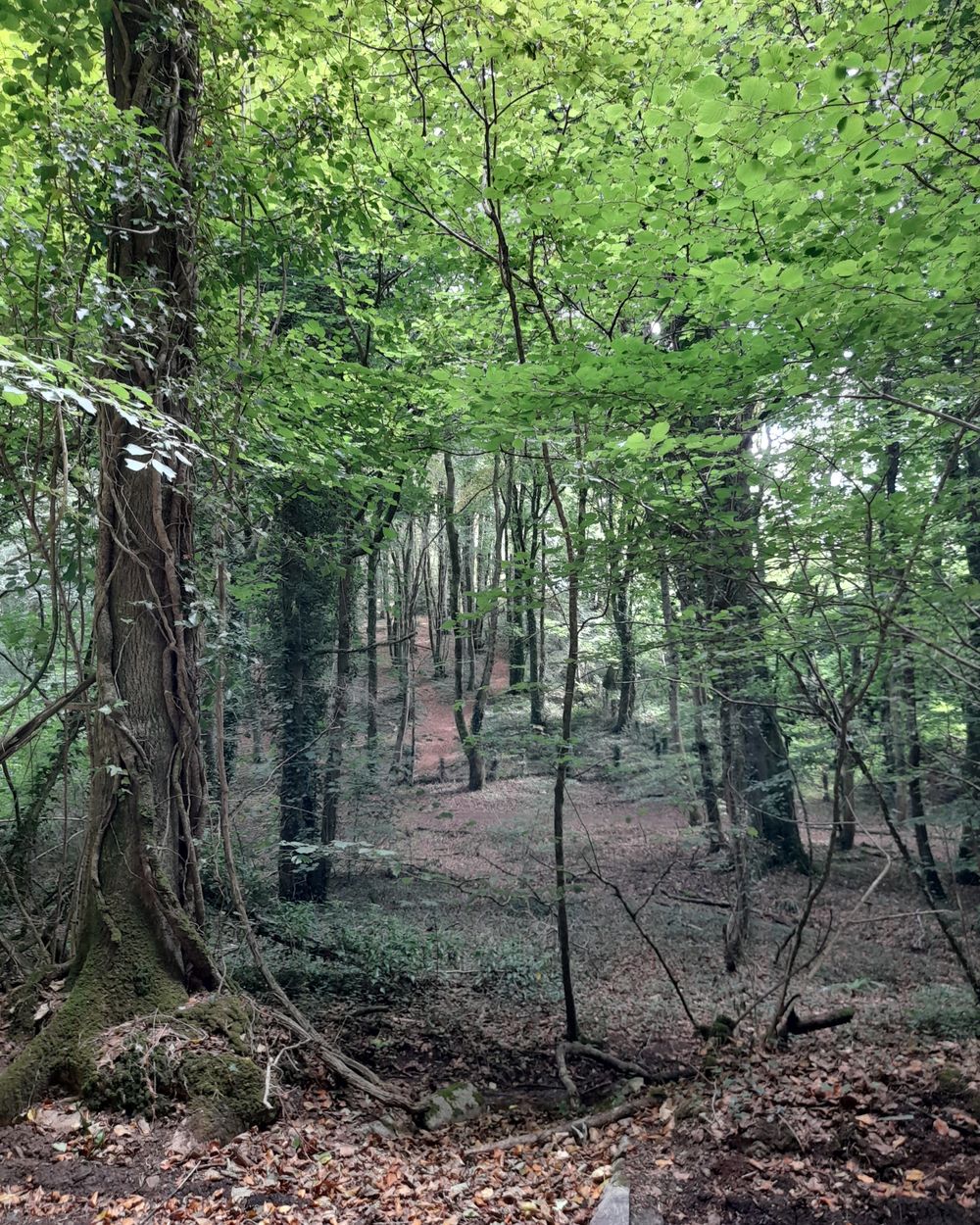 image 9
