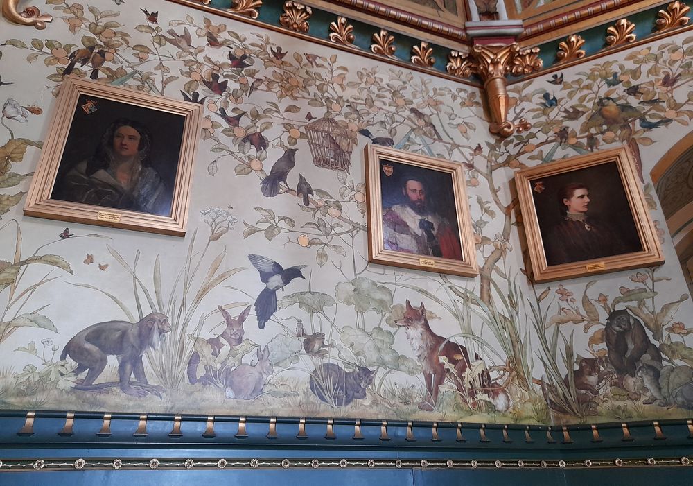 image 15