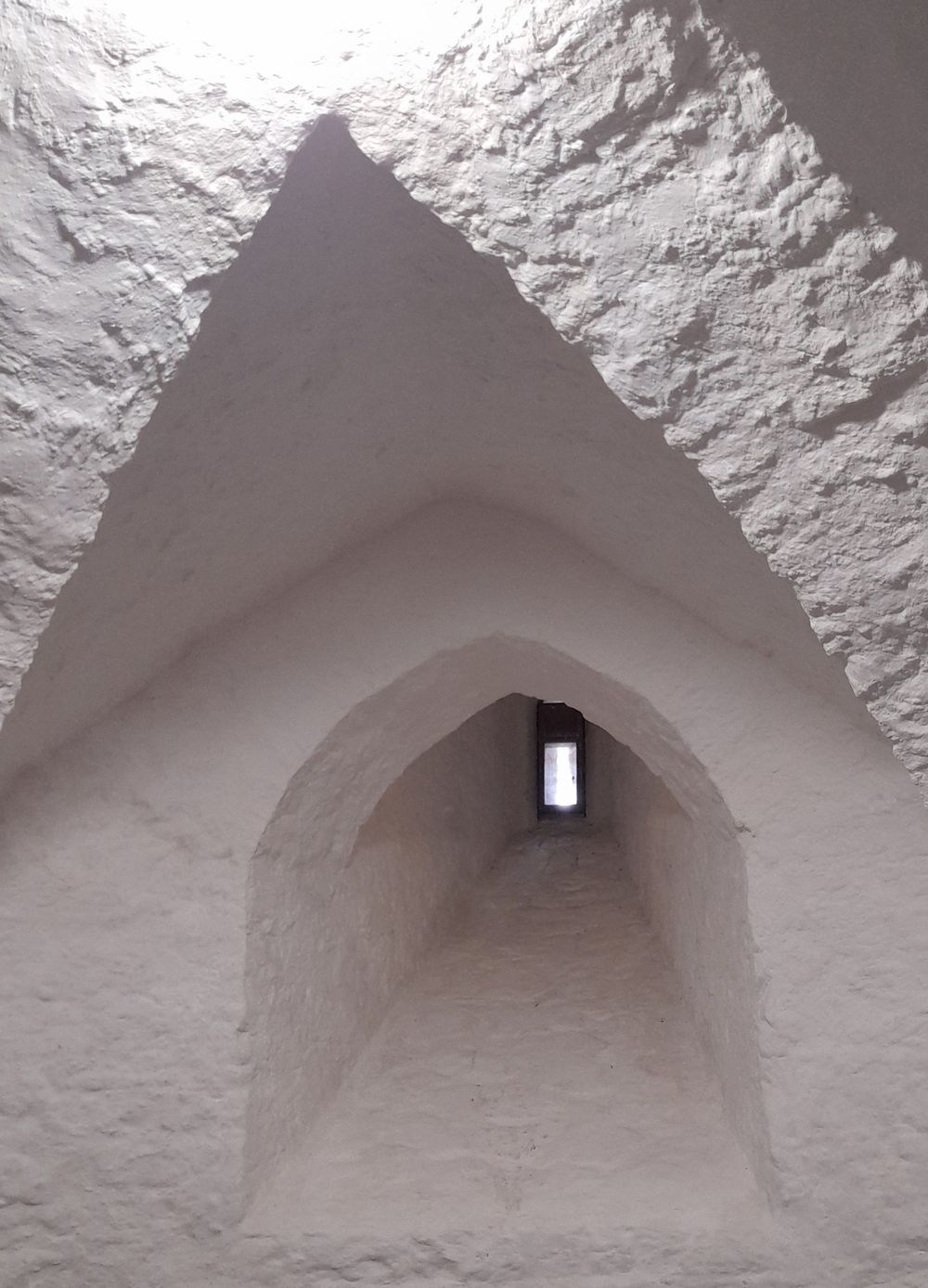image 40