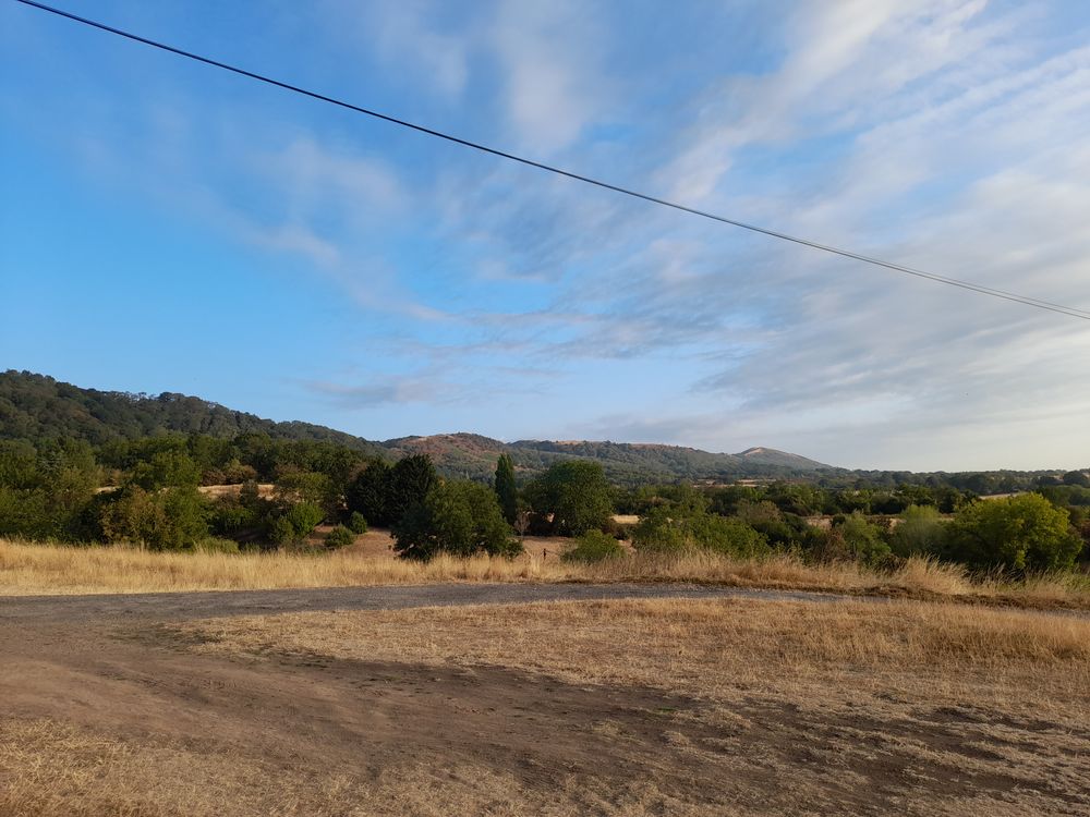 image 81