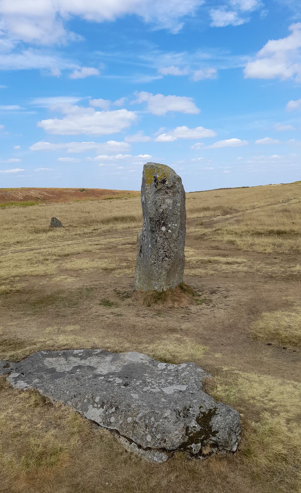 image 88