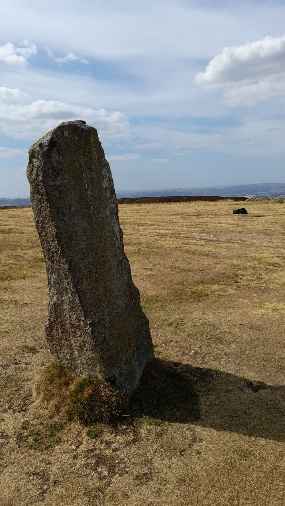 image 90