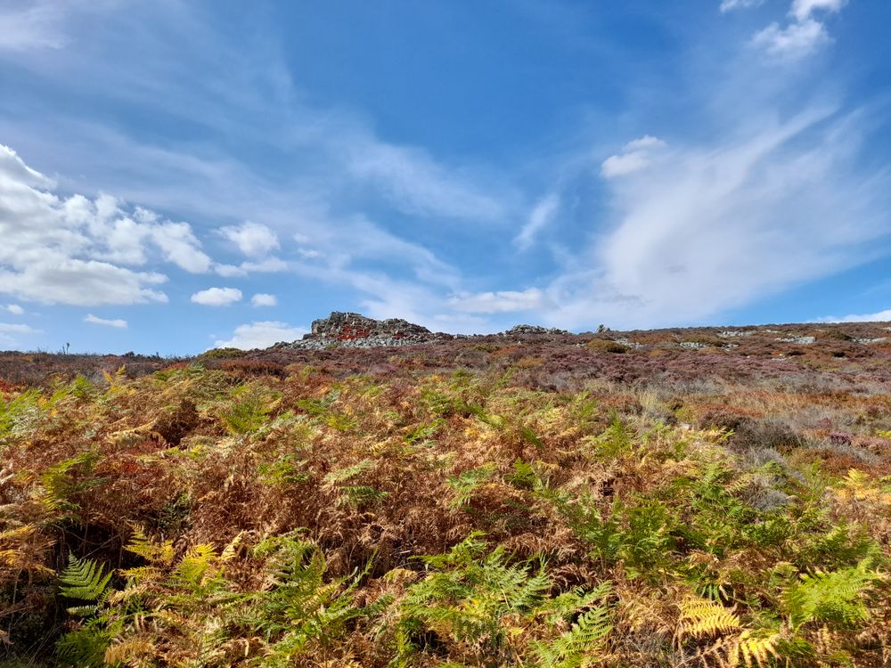 image 97