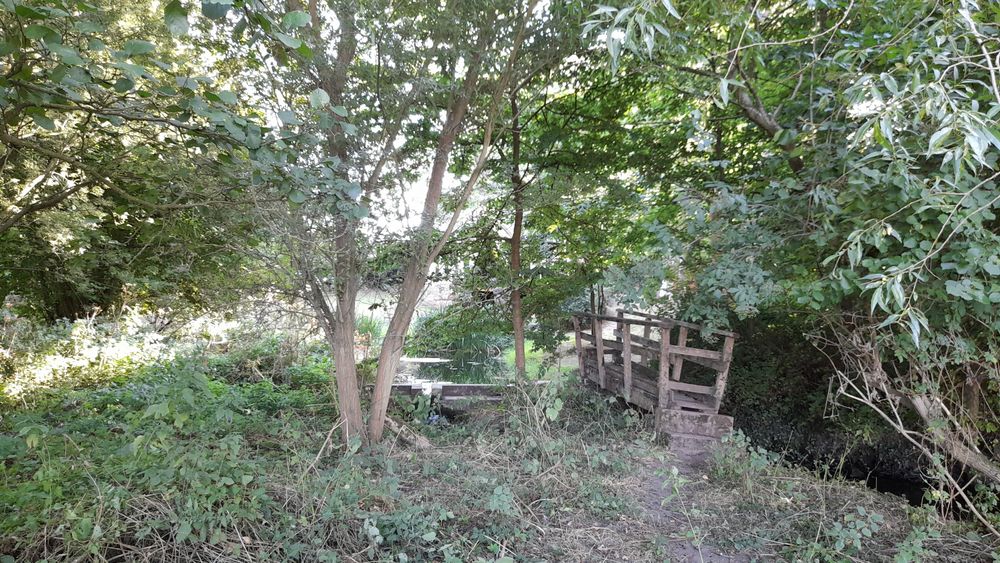 image 102