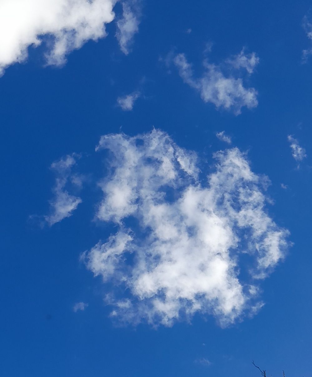 image 104