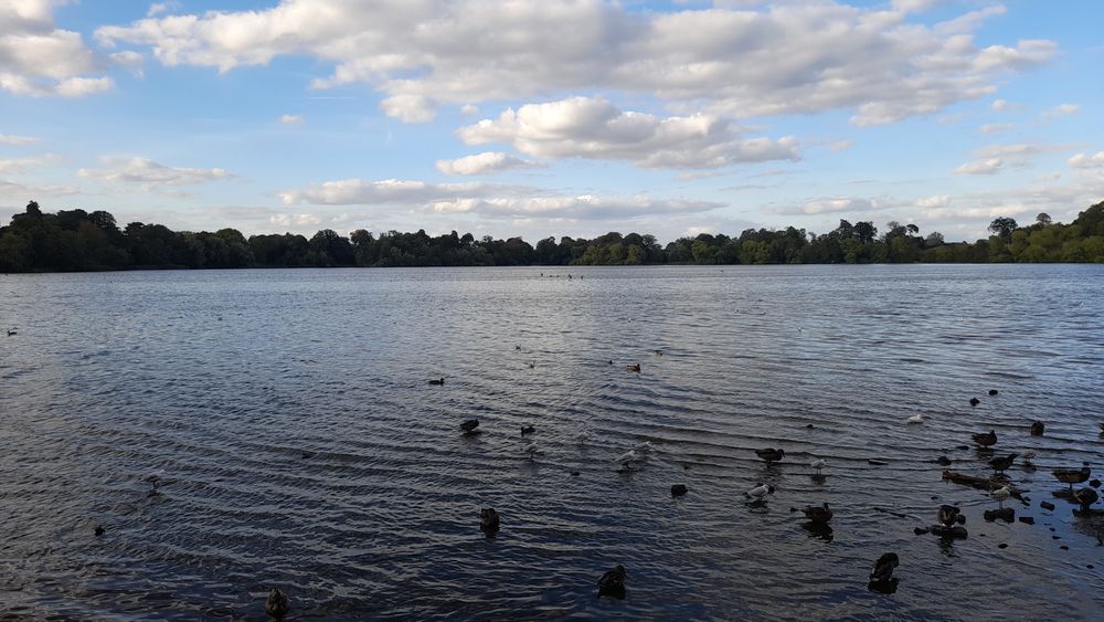 image 108