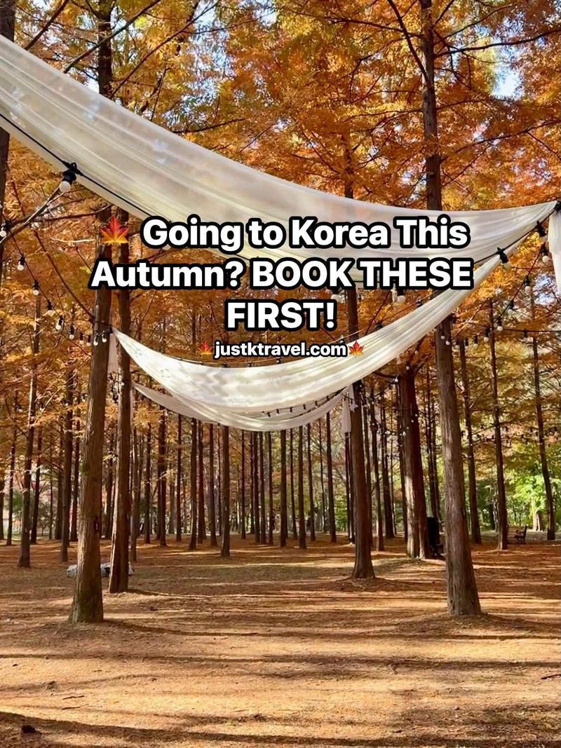 🍁 Going to Korea This Autumn? BOOK THESE FIRST!