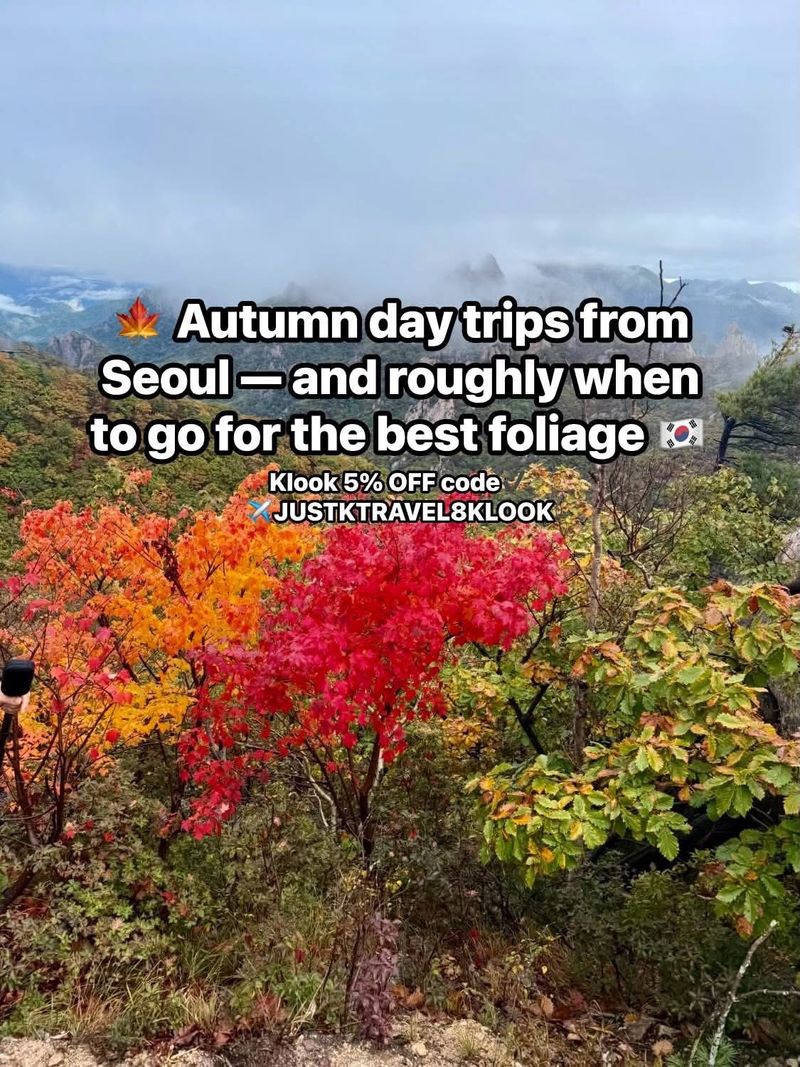 🍁 Autumn day trips from Seoul — and roughly when to go for the best foliage 🇰🇷