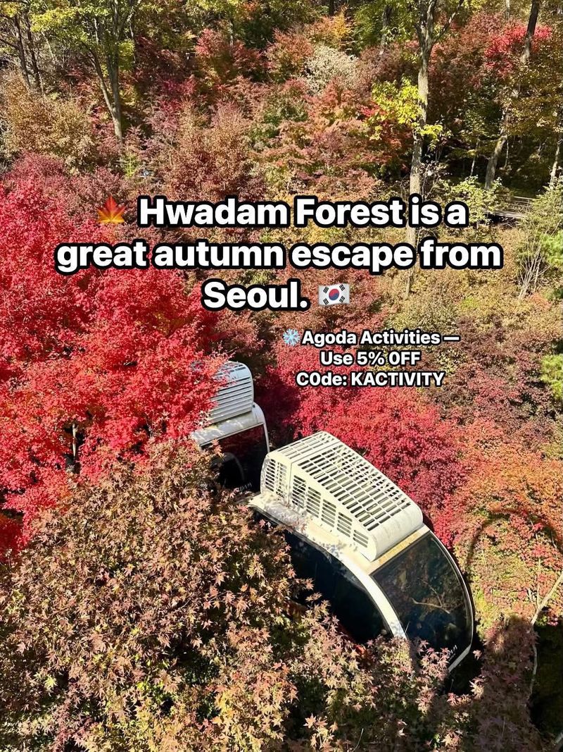 🍁 Hwadam Forest is a great autumn escape from Seoul. 🇰🇷