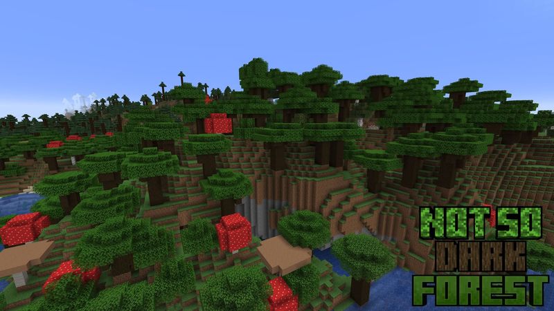 Not So Dark Forest