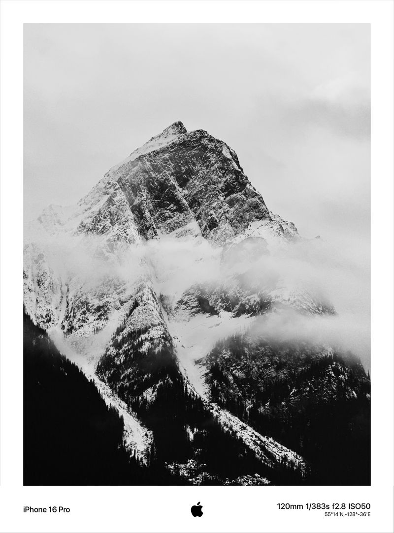 The Background Score of My Search: From Constant Movement to the Silence of the Mountains