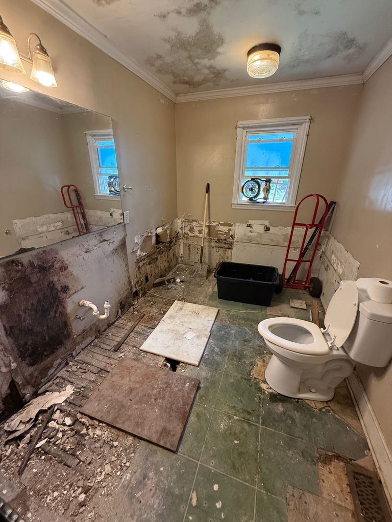 Widow's bathroom project