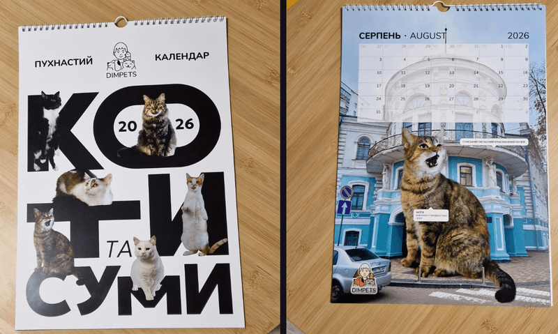Притулок DimPets випустив «пухнастий календар». Котики позують на фоні відомих місць Сум