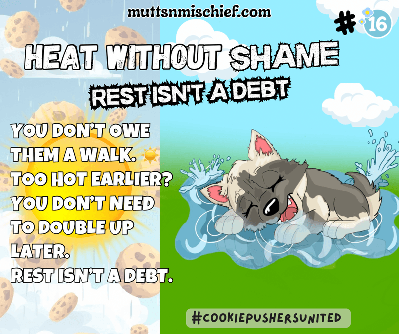 Heat Without Shame #16