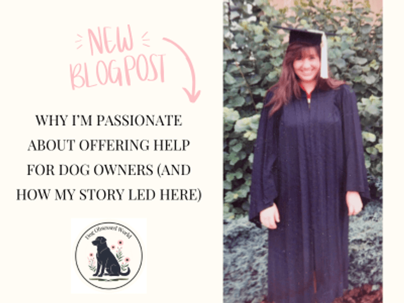 Why I’m Passionate About Offering Help for Dog Owners (and How My Story Led Here)