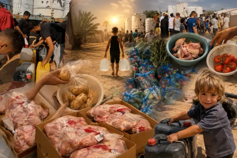 من الإغاثة إلى التمكين أبواب الأمل للمكلومين في غزة