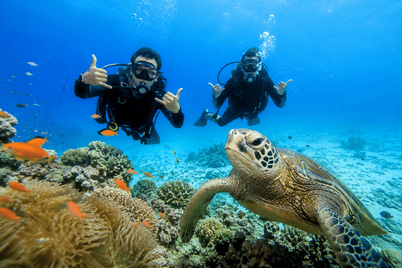 Beginner Scuba Diving Course in Phuket Helps Travelers Learn, Explore, and Enjoy Safely