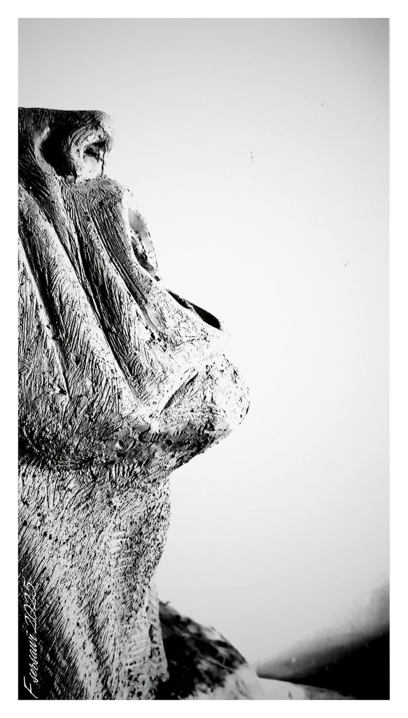 A Poem A Day:  Conversations with the Departed