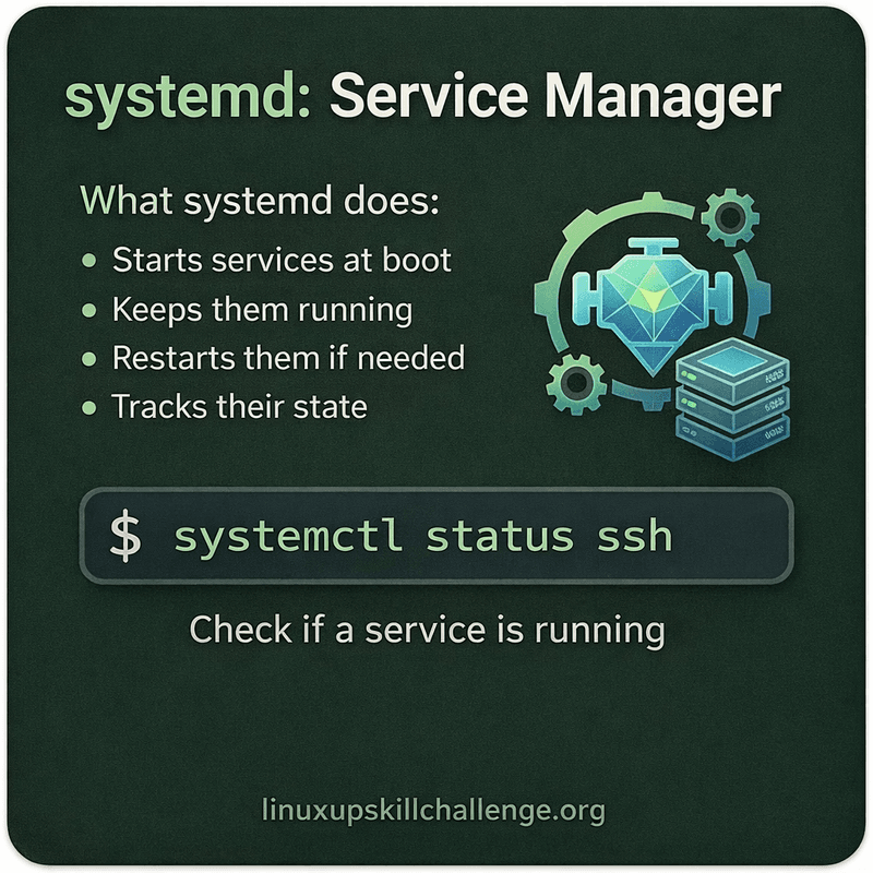 Day 7 - The server and its services