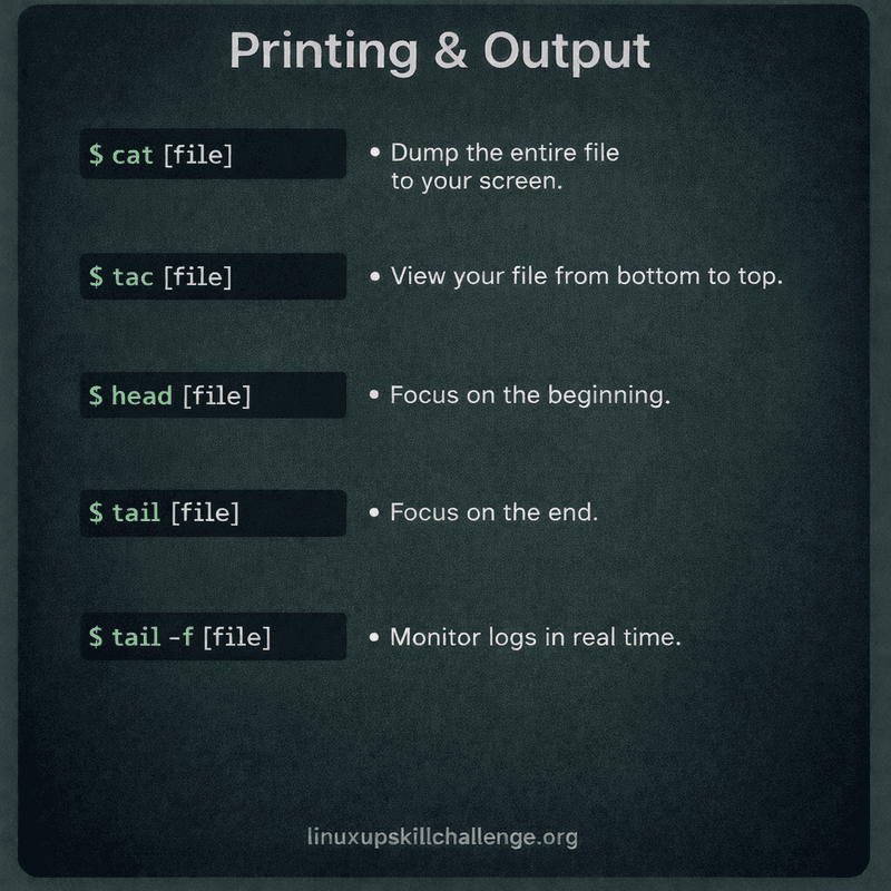 Day 8 - The infamous “grep” and other text processors