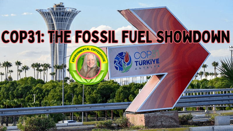 COP 31 is coming. Is it the fossil fuel showdown?