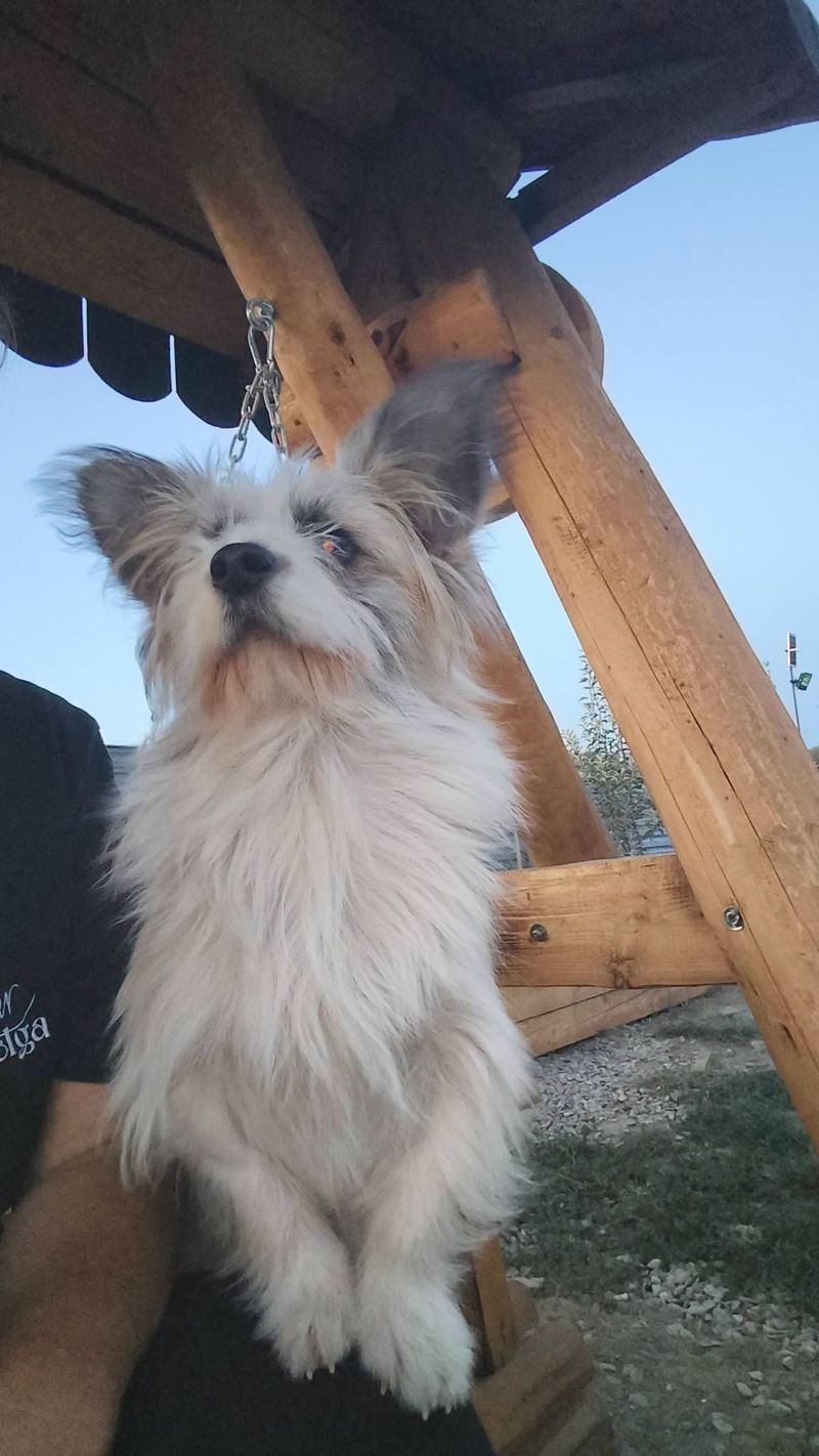 Proud Mikey, proud of you! Ready for adoption!