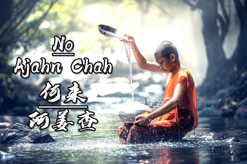何来 - 阿姜查 / No - Ajahn Chah (182)