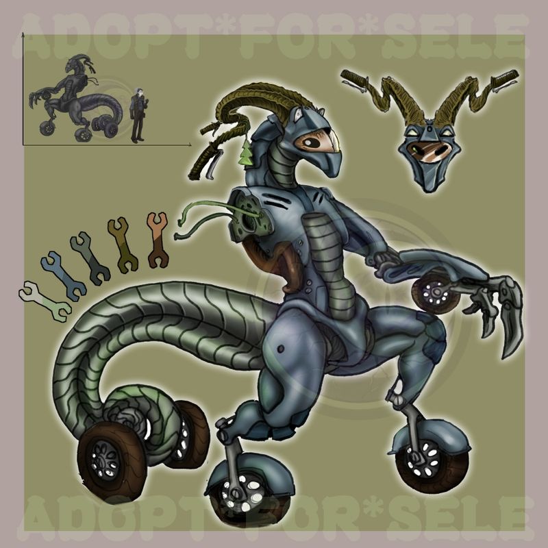 New adopt