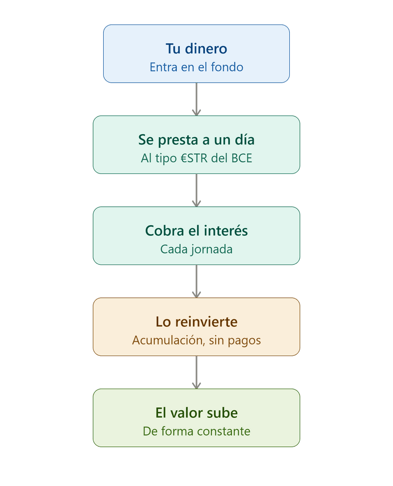 Cuentas remuneradas vs. ETFs monetarios: la alternativa que casi nadie te explica