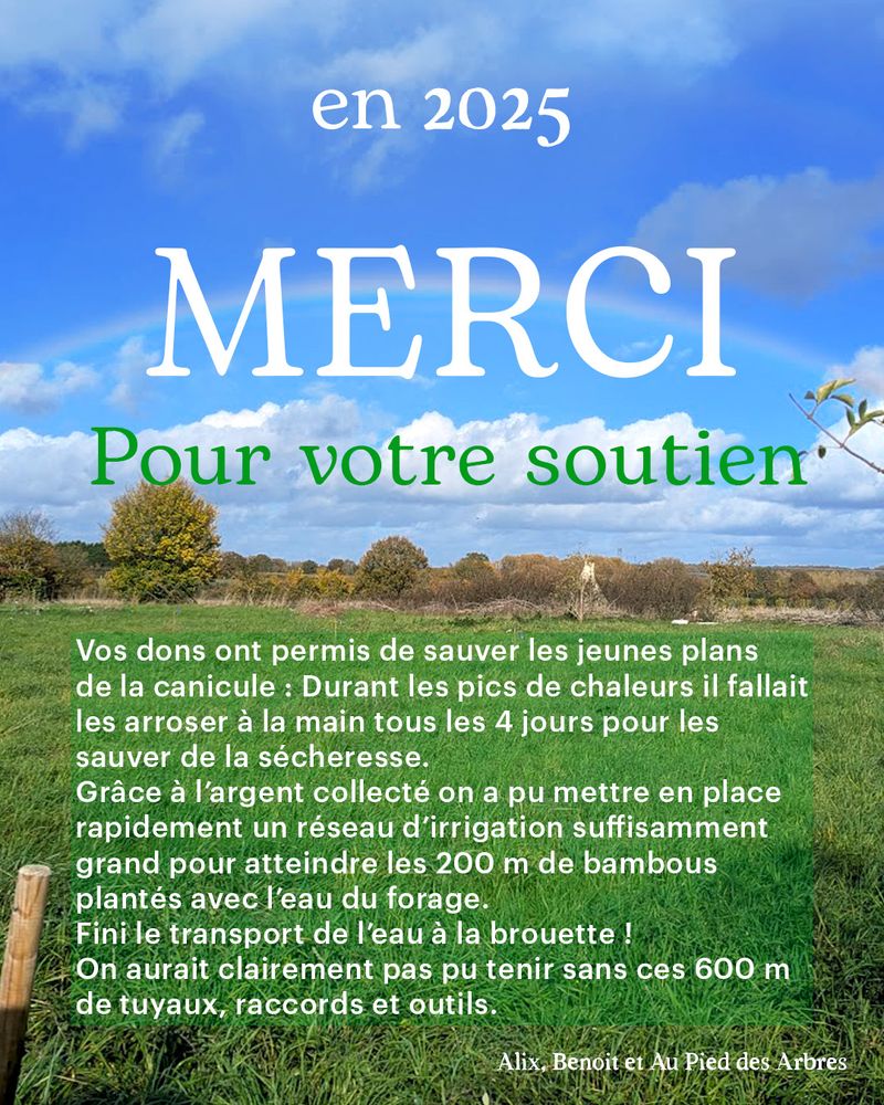 Merci pour vos dons