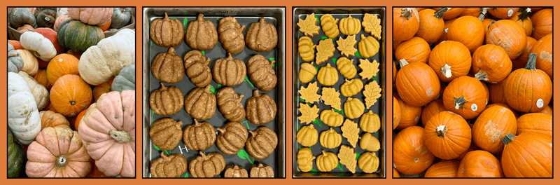Freeze Dried Pumpkin Pie Treats (Vanilla Ice Cream or Chocolate Fudge Pudding)