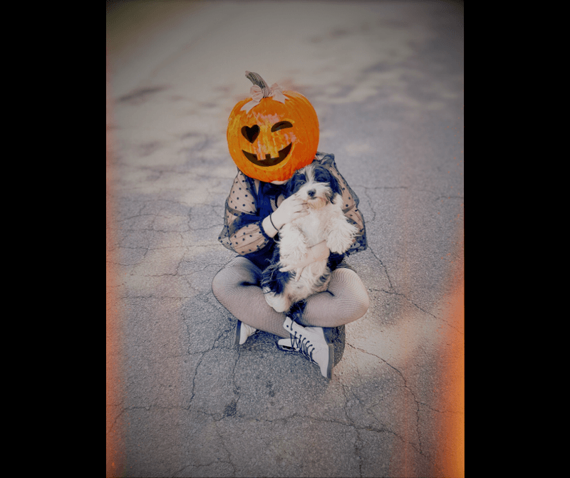 Hey Pumpkin! 🎃
