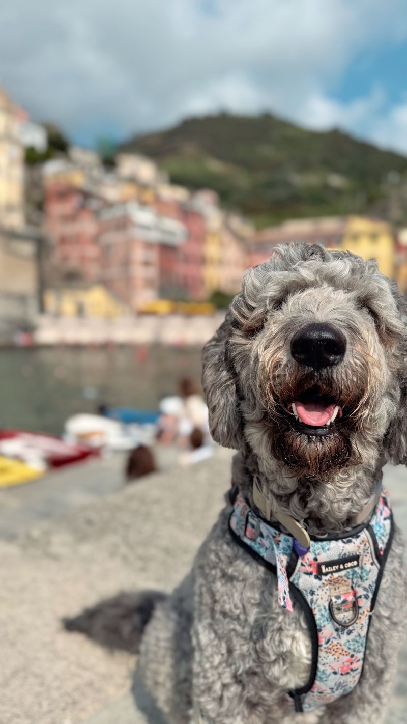 Tuscany Tales: Pisa, Florence, Cinque Terre & a Lucca Surprise