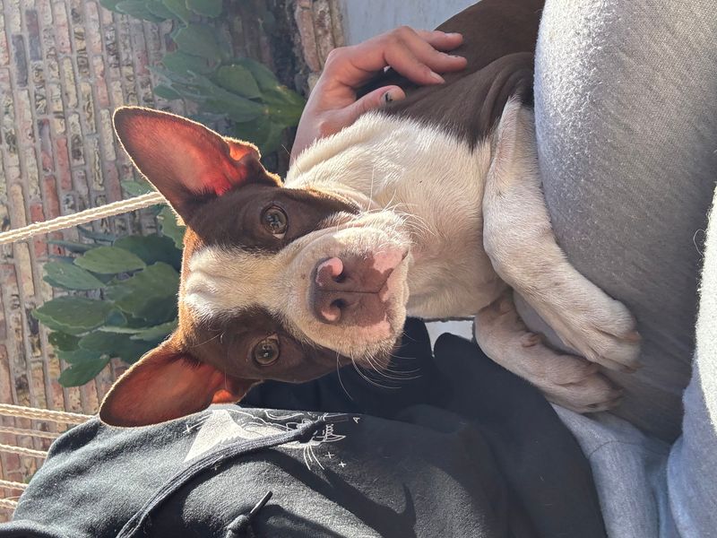 Maddie’s Update 🐾💜
