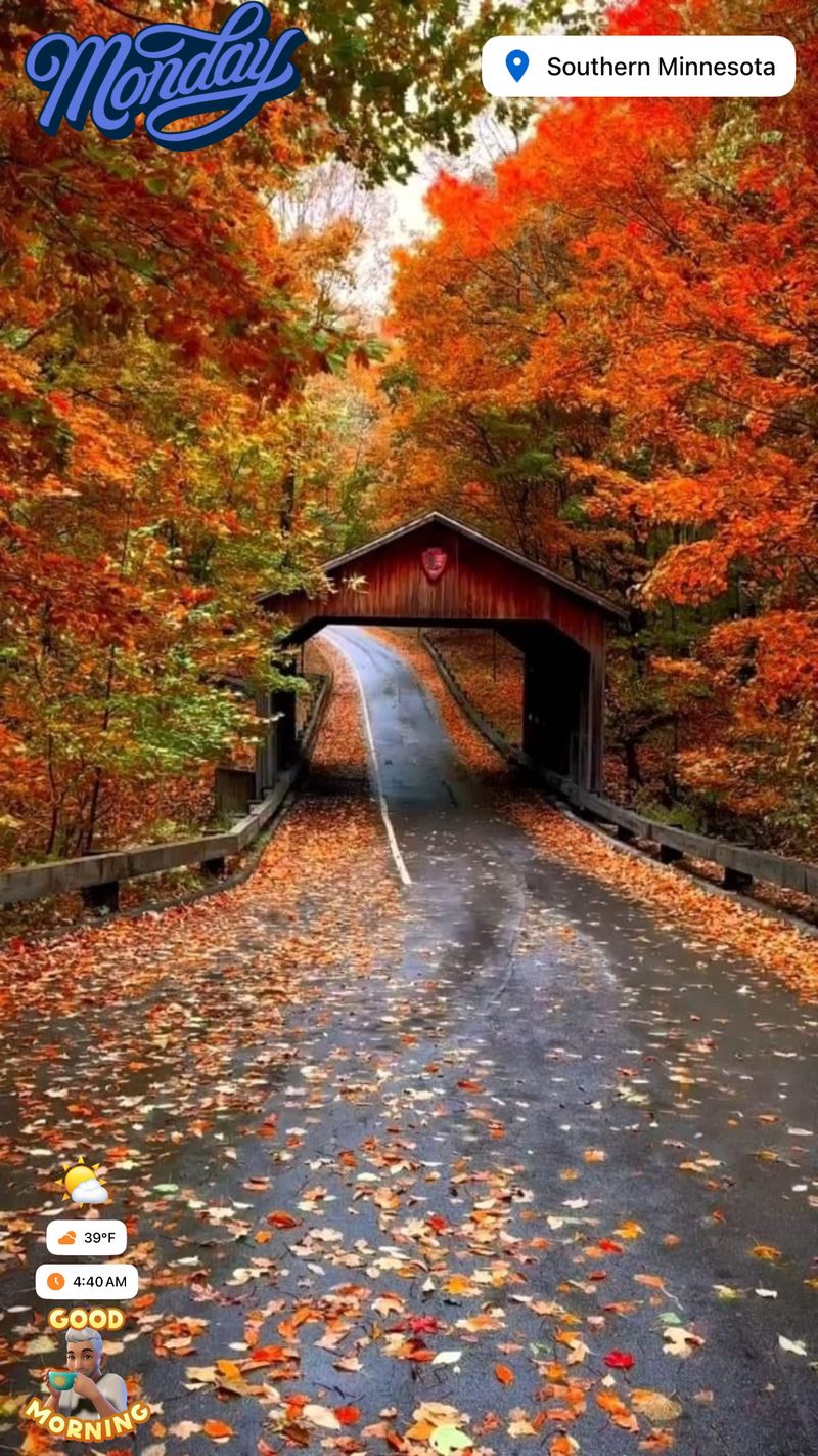 The Morning Path