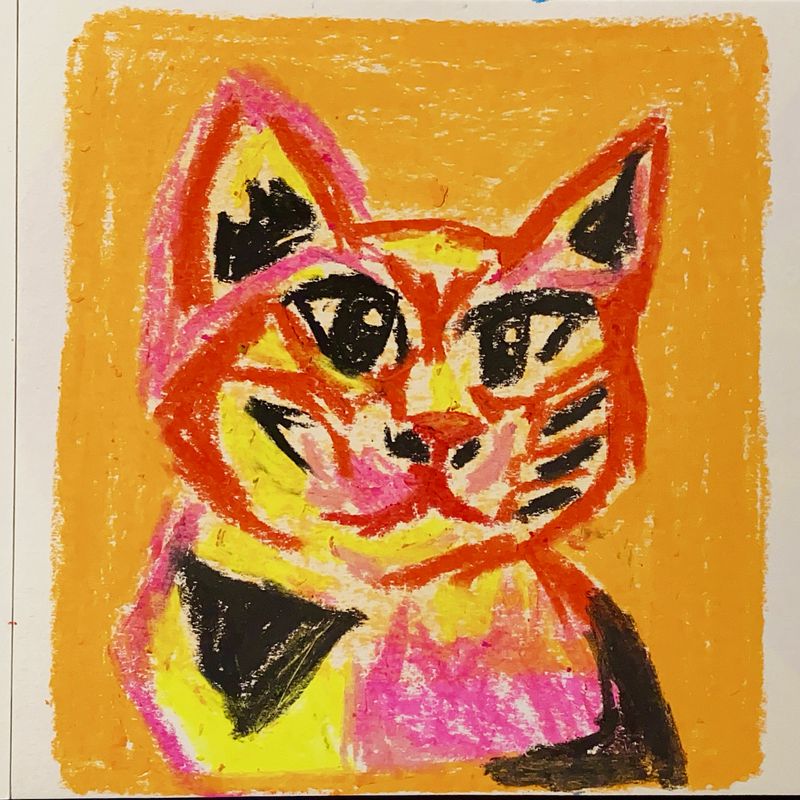 animal studies in oil pastel and pencil colour