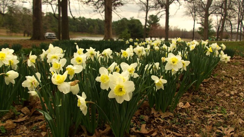 Spring Is About to Bust Out