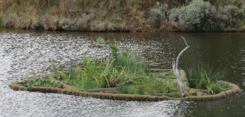 Floating Wetland Project