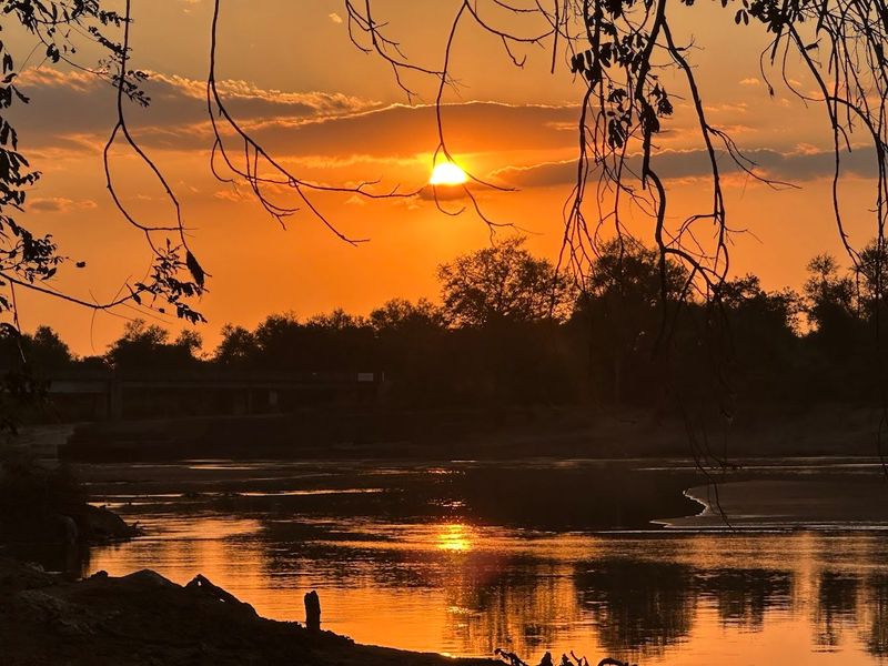 I Left Africa and Never Wanted to Go Back