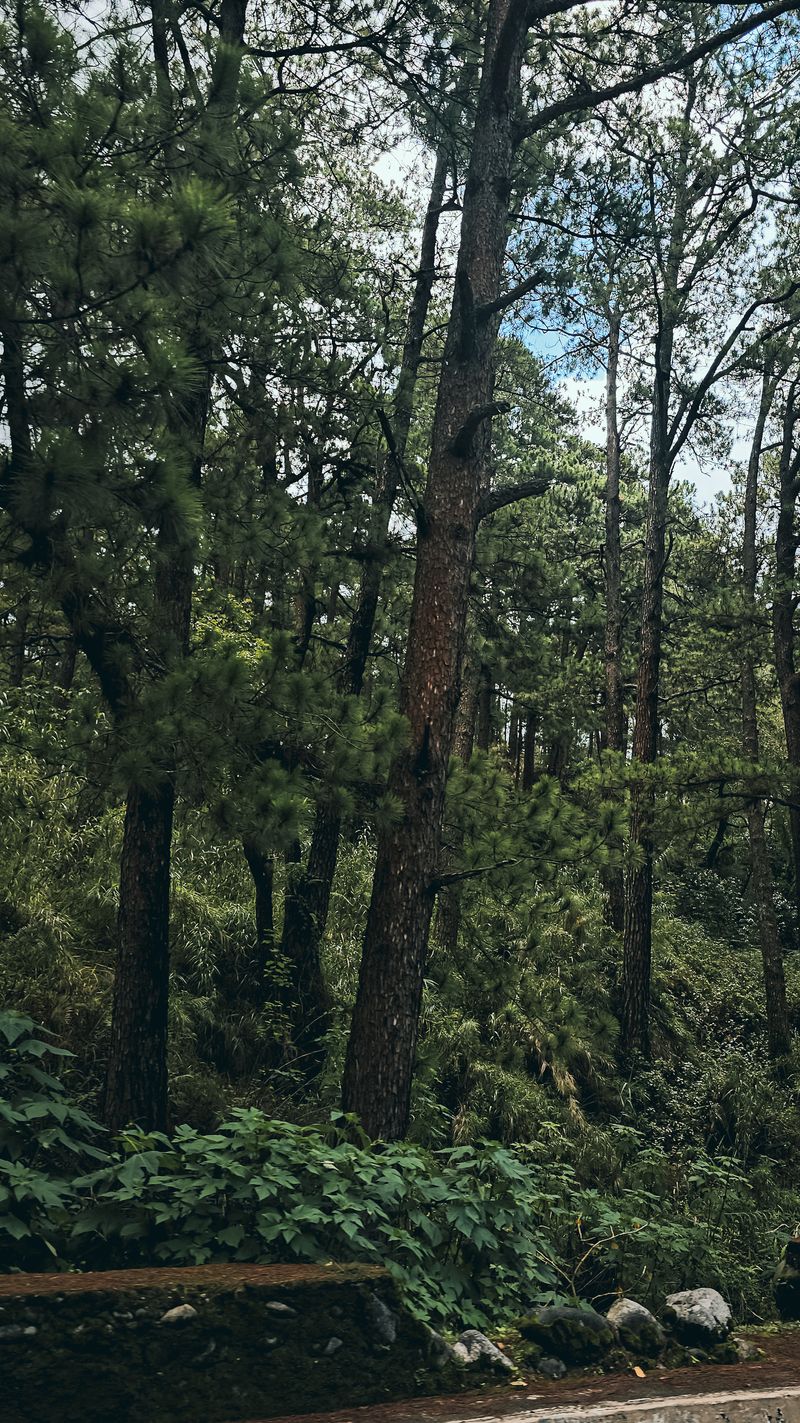 Moments in Baguio City