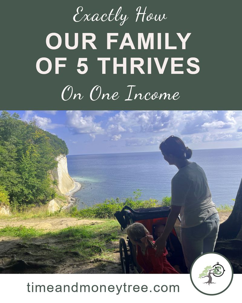 Family Of 5 Living On One Income: Better Life, Half The Price