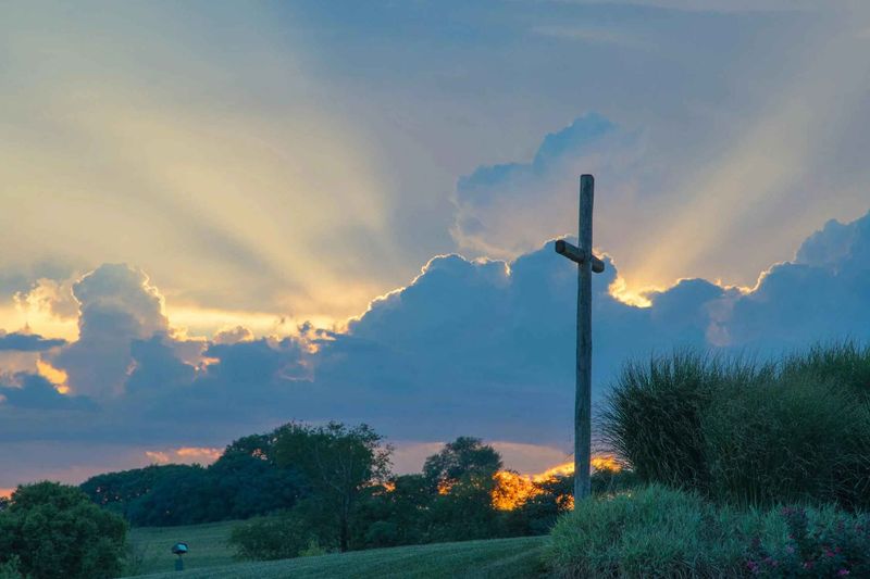 Look to the Cross